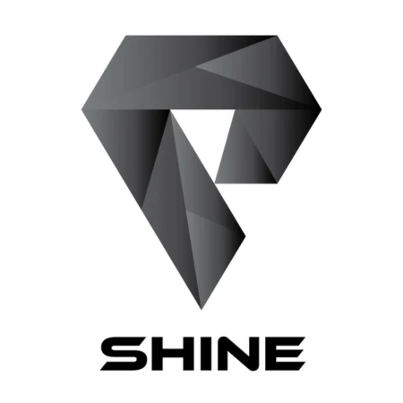 Logo Shine Group